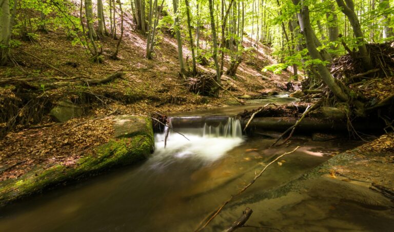 Gentle river flowing peacefully, symbolizing trust in life’s natural flow