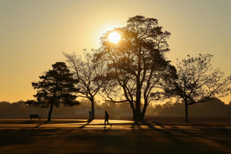 A person jogging in sunlight beneath strong old trees, symbolizing vitality, resilience, and connection with nature.