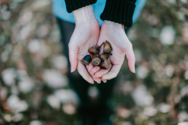 Hands letting go of small stones and leaves symbolizing release of burdens