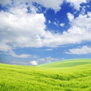 A vibrant display of colorful lights or painted patterns, symbolizing emotional healing, energy balance, and the therapeutic power of color.