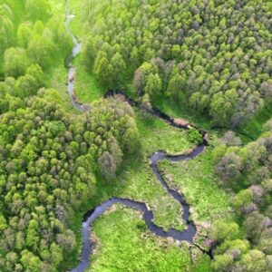 A peaceful river view from above, surrounded by lush trees, symbolizing relaxation, calm, and relief from digestive discomfort.