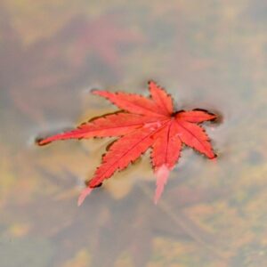 A person looking relaxed and in control, symbolizing freedom from obsessive thoughts.