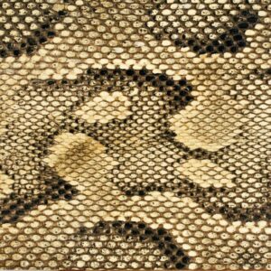 A close-up of patterned, textured snake skin in shades of brown and beige.