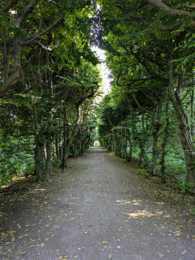 A peaceful pathway winding through a calm forest, surrounded by greenery and soft light.