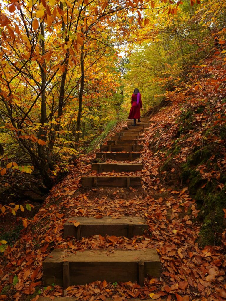 A woman in a bright pink dress walks up wooden steps covered in autumn leaves, surrounded by colorful fall foliage in the forest.