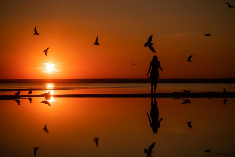 A person walking toward the sunrise with birds flying upward, symbolizing freedom and new beginnings.