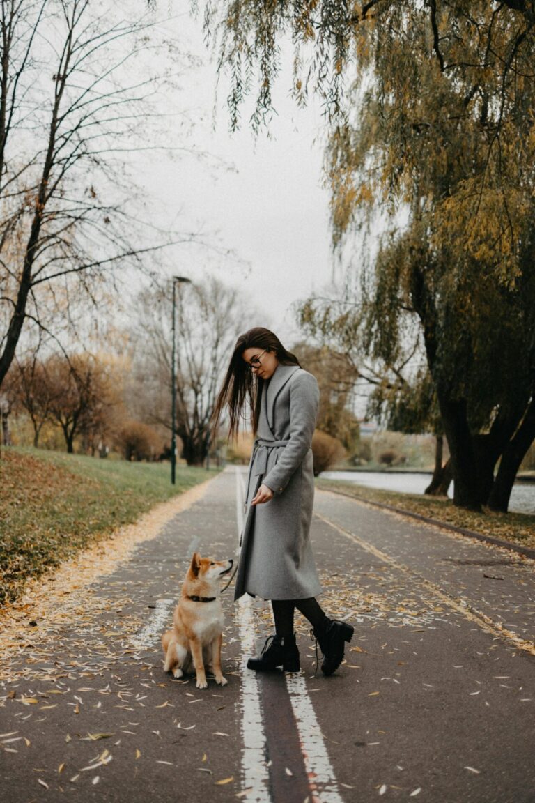 A woman in a gray coat walks her Shiba Inu dog on a tree-lined path covered with autumn leaves.