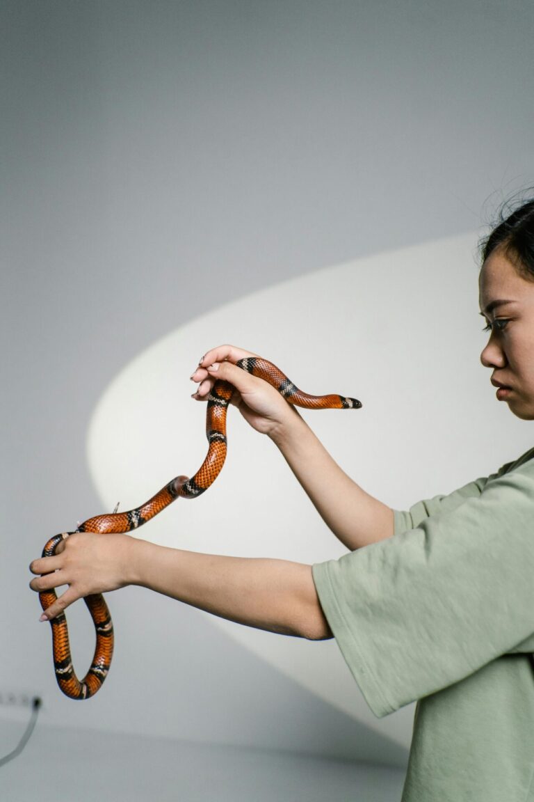 Person holding a snake calmly, overcoming fear and anxiety