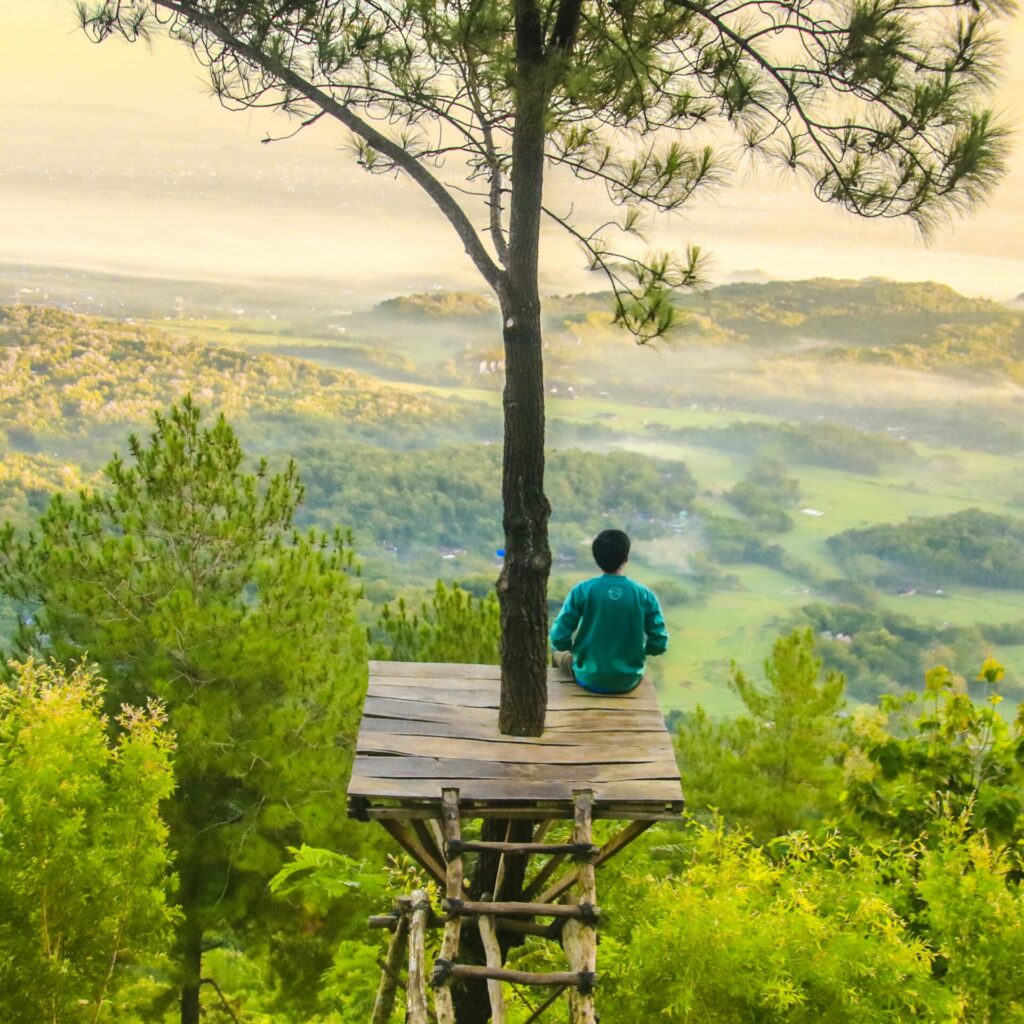 Person sitting calmly in a forest tree house surrounded by nature