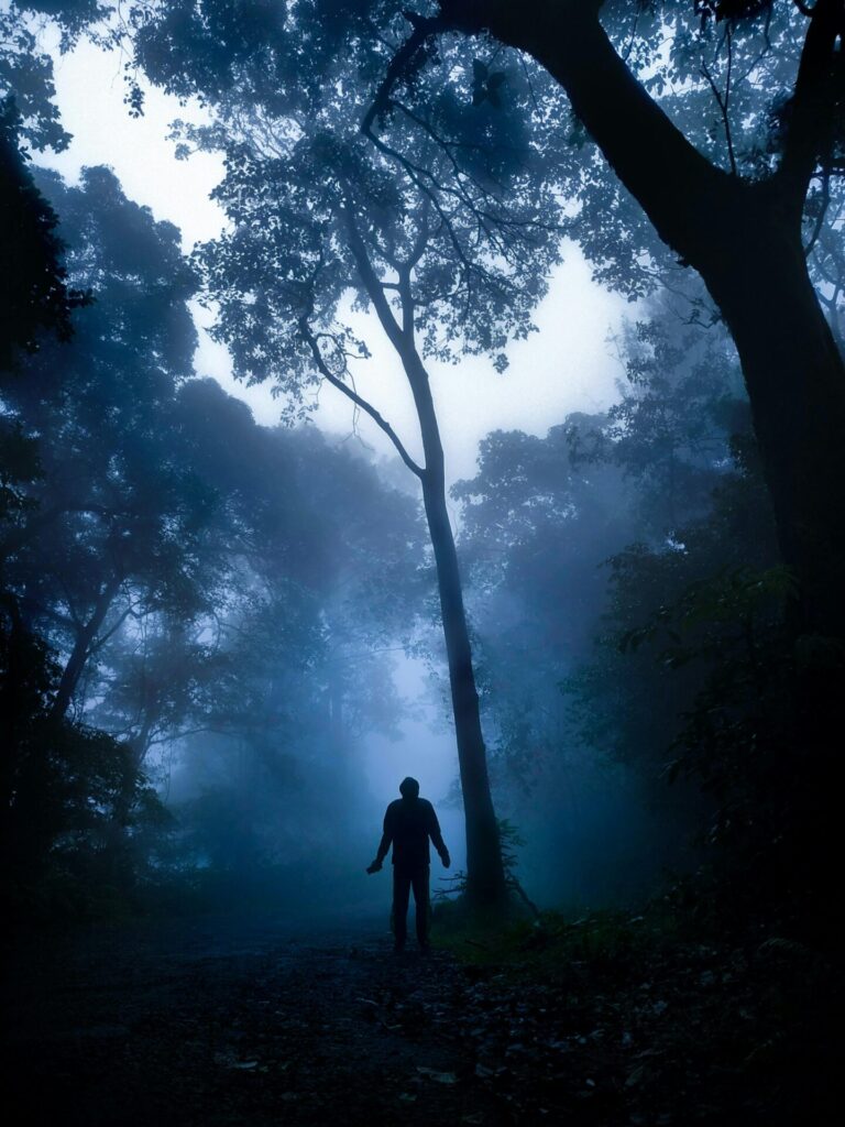 Misty foggy forest creating a dreamy atmosphere for lucid dreaming and imagination