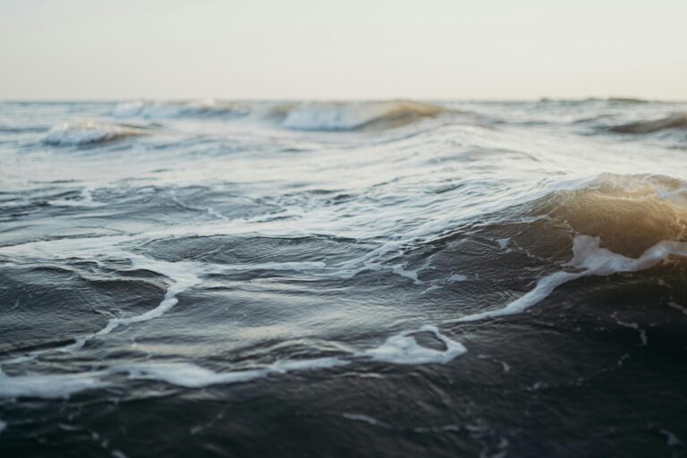Calm ocean waves gently flowing with soft light reflecting on the surface