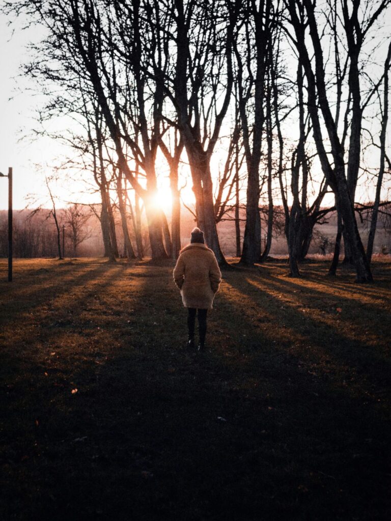 Person standing alone in sunlight with dark forest background