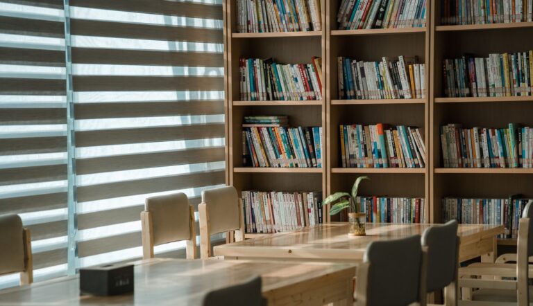 Serene bookshelves filled with books in a calm and inviting setting